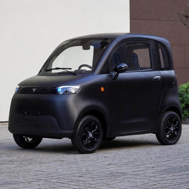 Masini electrice fara permis